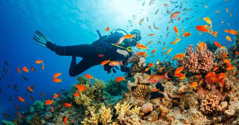 Underwater scuba diver exploring coral reefs. (Representative Cover Image Source: Getty Images | ultramarinfoto)