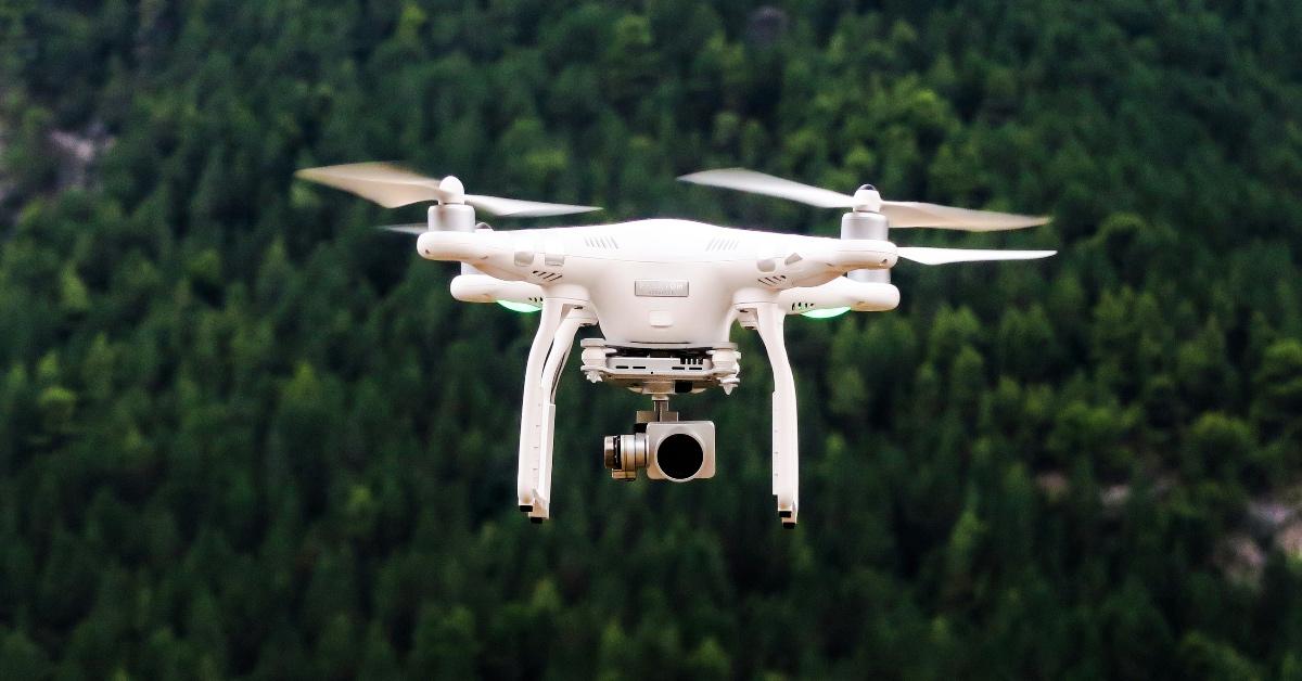 White drone flying above a pine forest. 