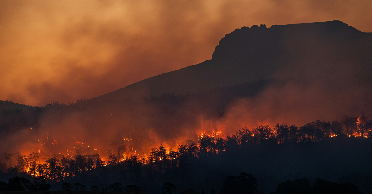 Wildfires burn along a tree line, producing intense smoke