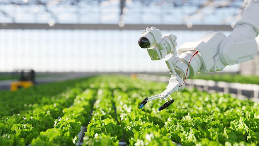 A robot gardening