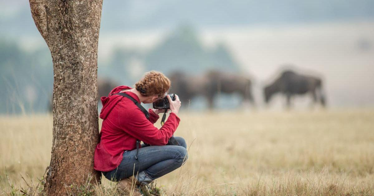 A wildlife photographer capturing a wild herd. (Representative Cover Image Source: Getty Images | Edwin Remsberg)