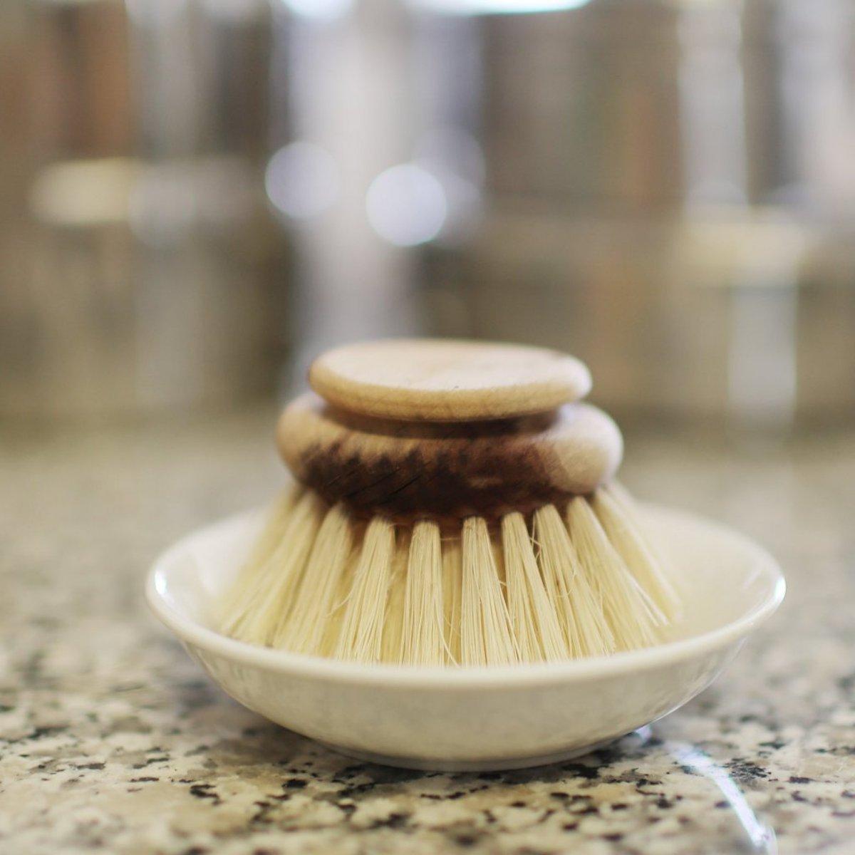 Dish Brush