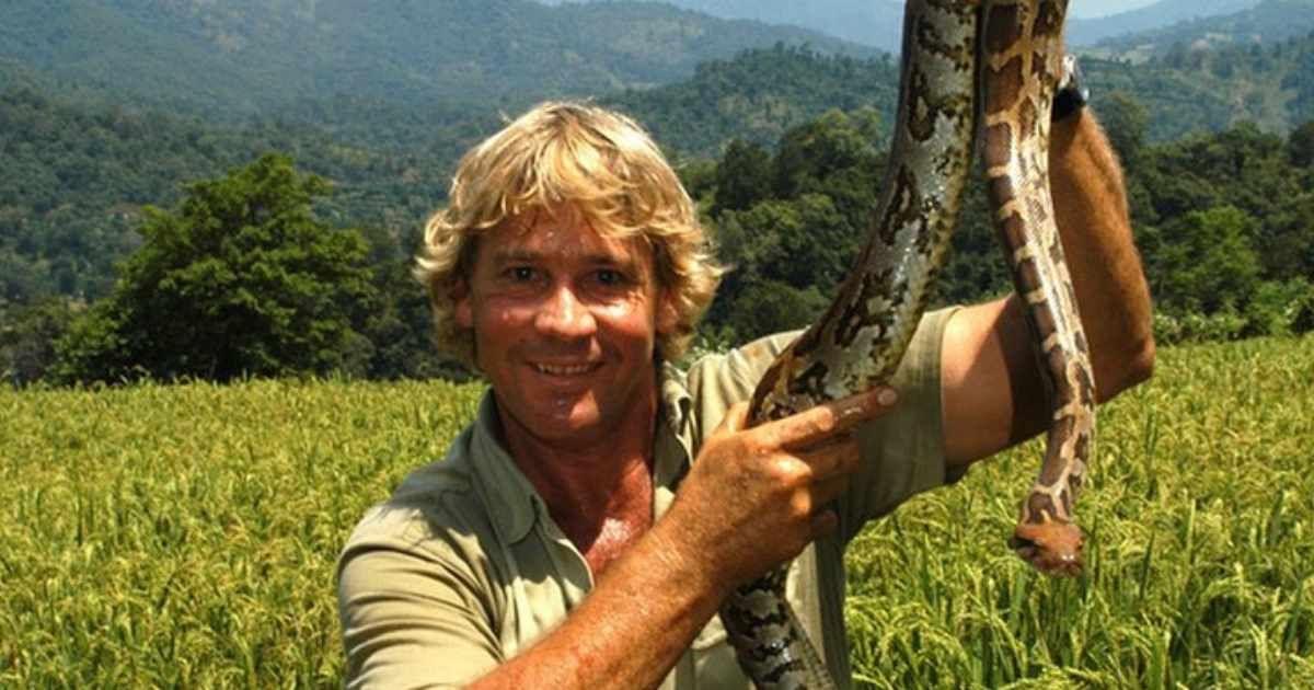 Legendary Crocodile Hunter Steve Irwin catches a giant snake in a green field. (Cover Image Source: Facebook | @WildlifeWarriorsWorldwide)