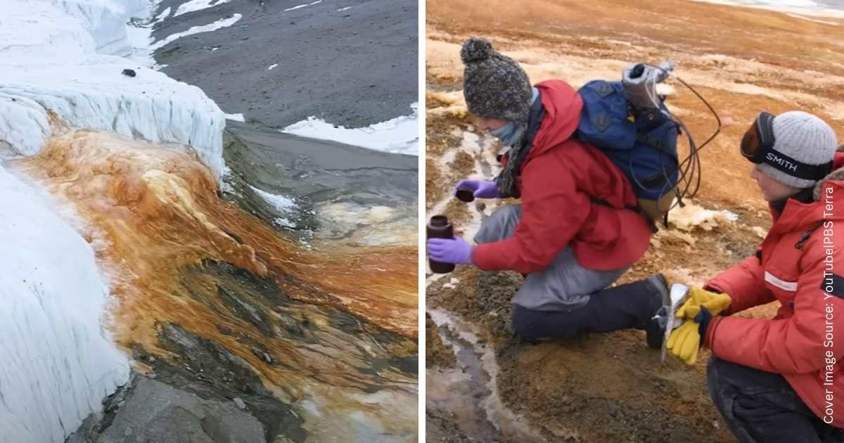A waterfall with crimson hues amid the ice caps of Antarctica. (Cover Image Source: YouTube | @pbsterra)