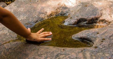 A human hand on a dinosaur footprint. (Representative Cover Image Source: Getty Images | Neenawat)