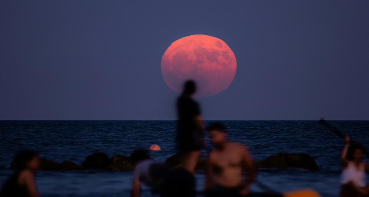 strawberry moon