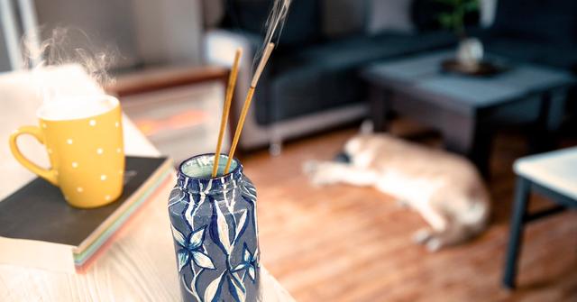 is-perfume-bad-for-dogs-know-before-you-spray