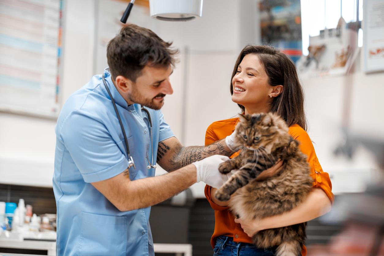 A smiling cat parent in an orange shirt holds her cat while a smiling veterinarian with gloved hands examines the cat.