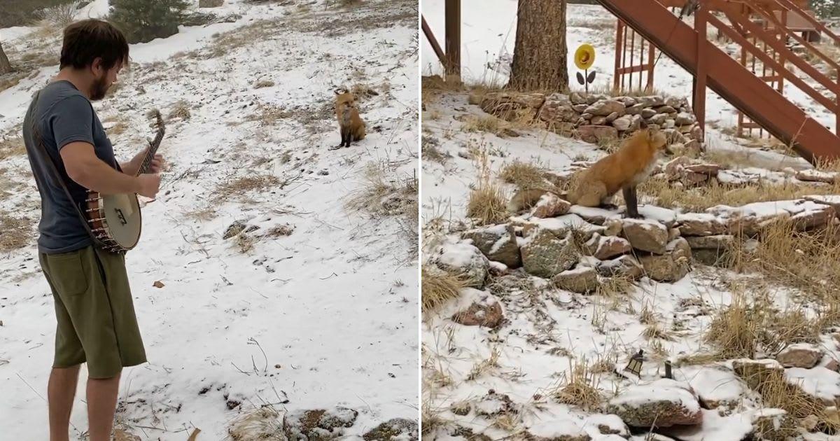 pn/ecf dad edd d dbe