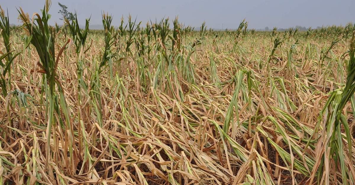 China Drought