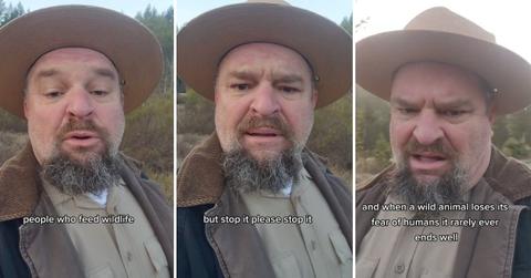 Screenshots from GriffWild video on why you shouldn't feed wild animals.