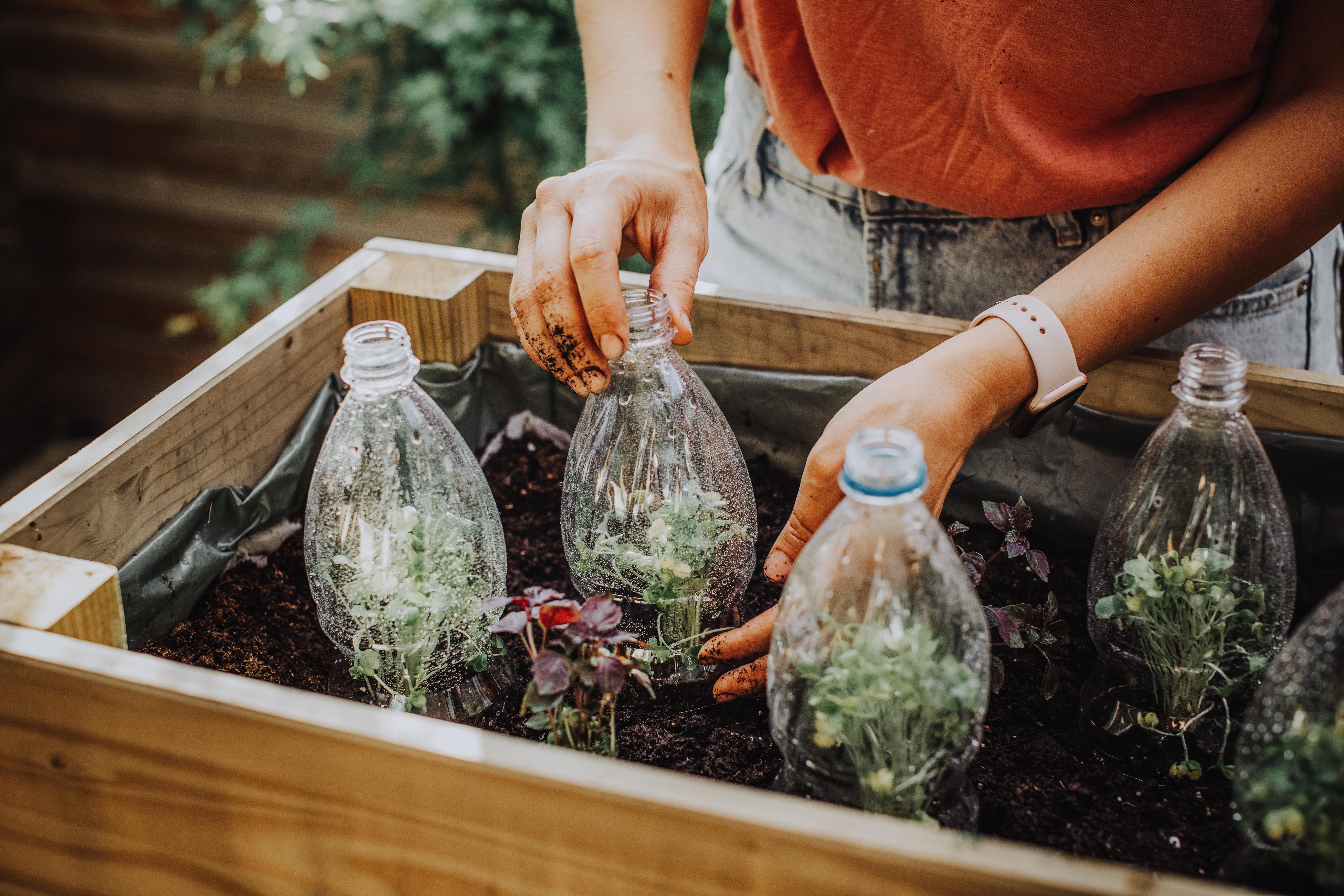 recycling crafts with kids planters