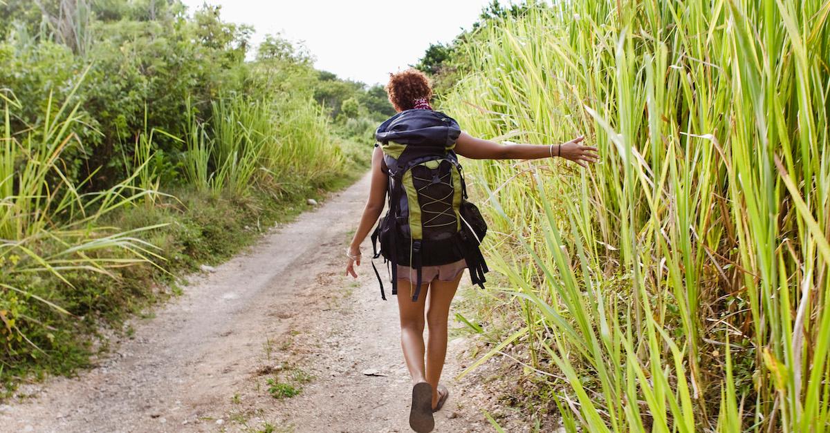 National Hiking Day