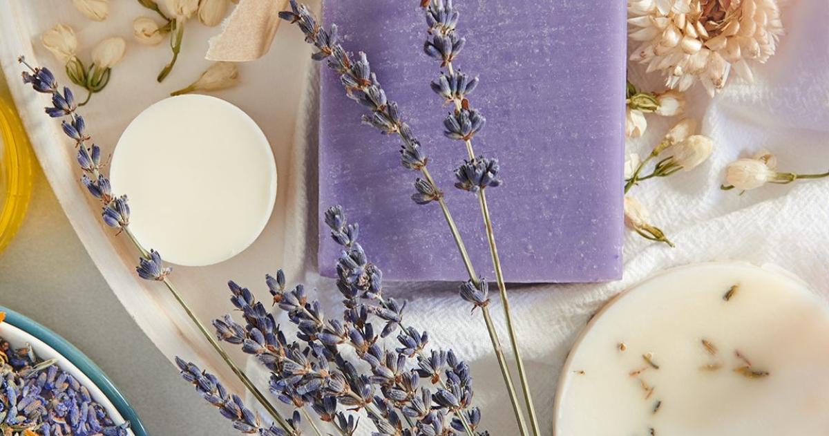 NTRL By Sabs zero-waste products arranged with dried lavender 