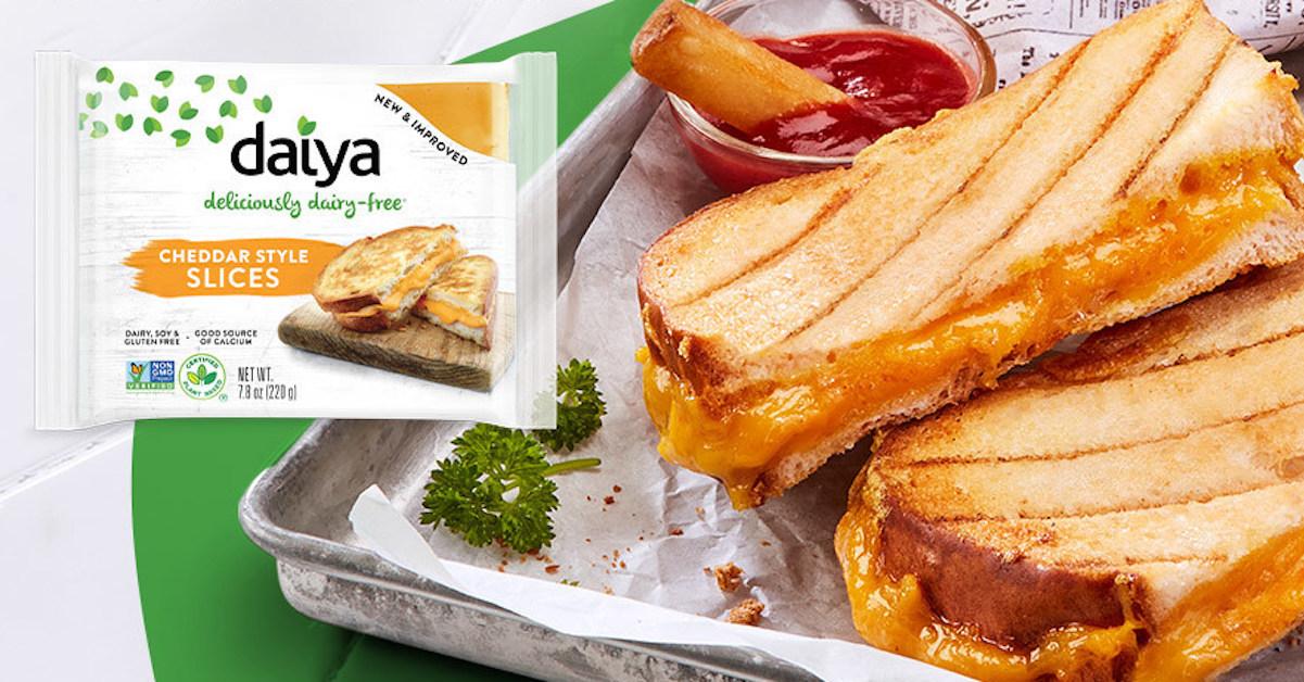 Daiya Cheese, Fermentation Technology