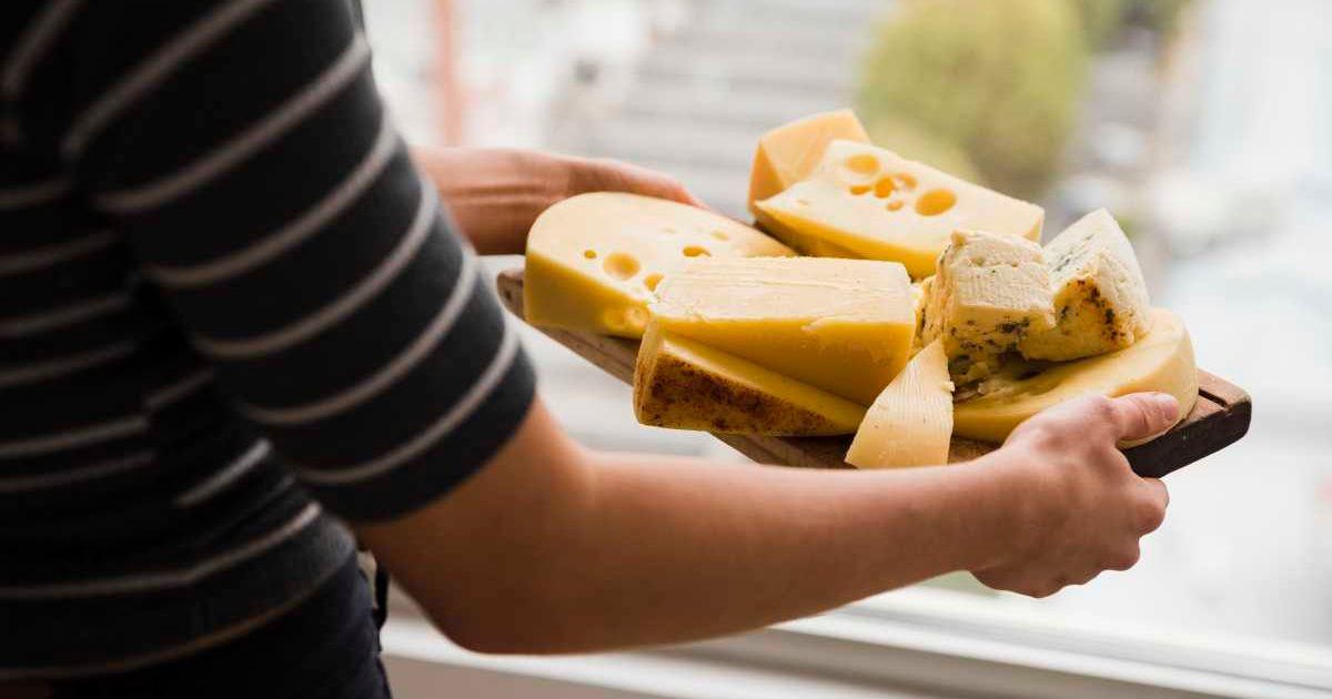 A person holding a block of Swiss cheese with holes popped inside (Representative Cover Image Source: Freepik | freepik)