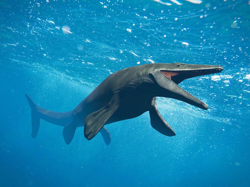 A 3D rendering of a mosasaur in the ocean with it's mouth open. 