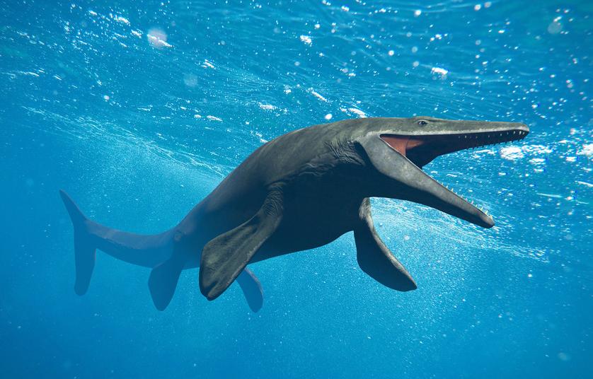 What Is a Pliosaur? Exciting Fossil Discovery in Dorset | Canada News Media