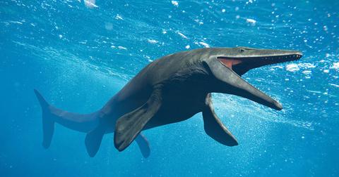 A 3D rendering of a mosasaur in the ocean with it's mouth open.