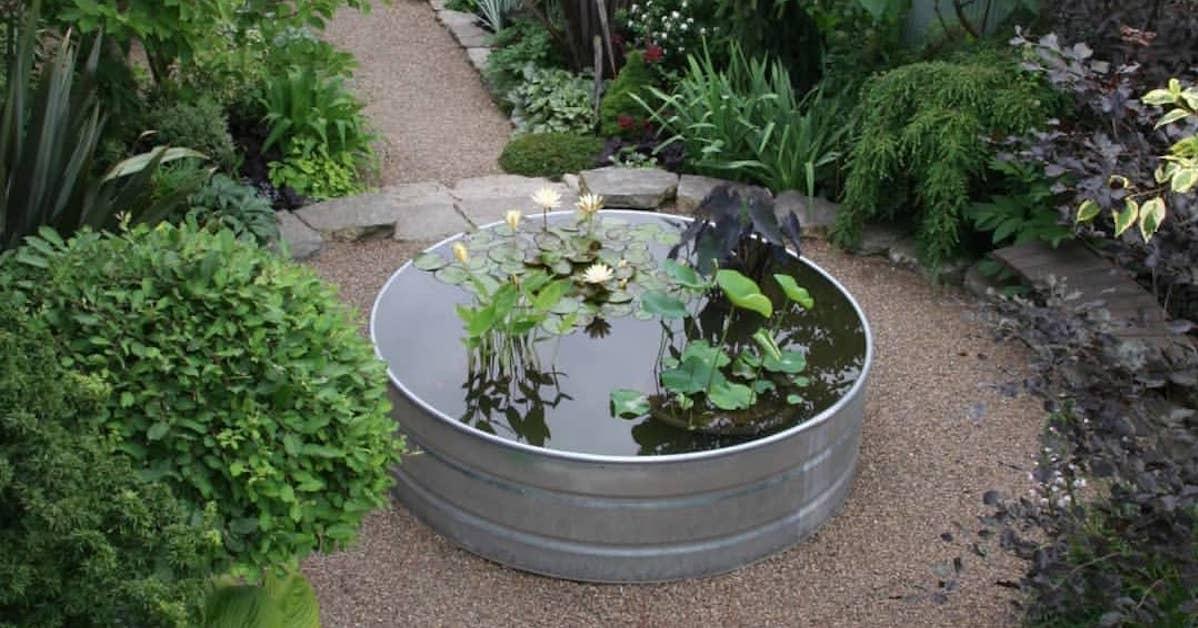 Animal trough used as a pond in a backyard