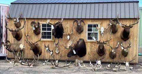 Wyoming Poaching