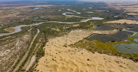 An aerial drone photo taken on Sept. 20, 2025, shows vegetation in the Taklimakan Desert. (Cover Image Source: Xinhua/Chen Shuo)