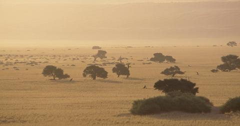 what is desertification