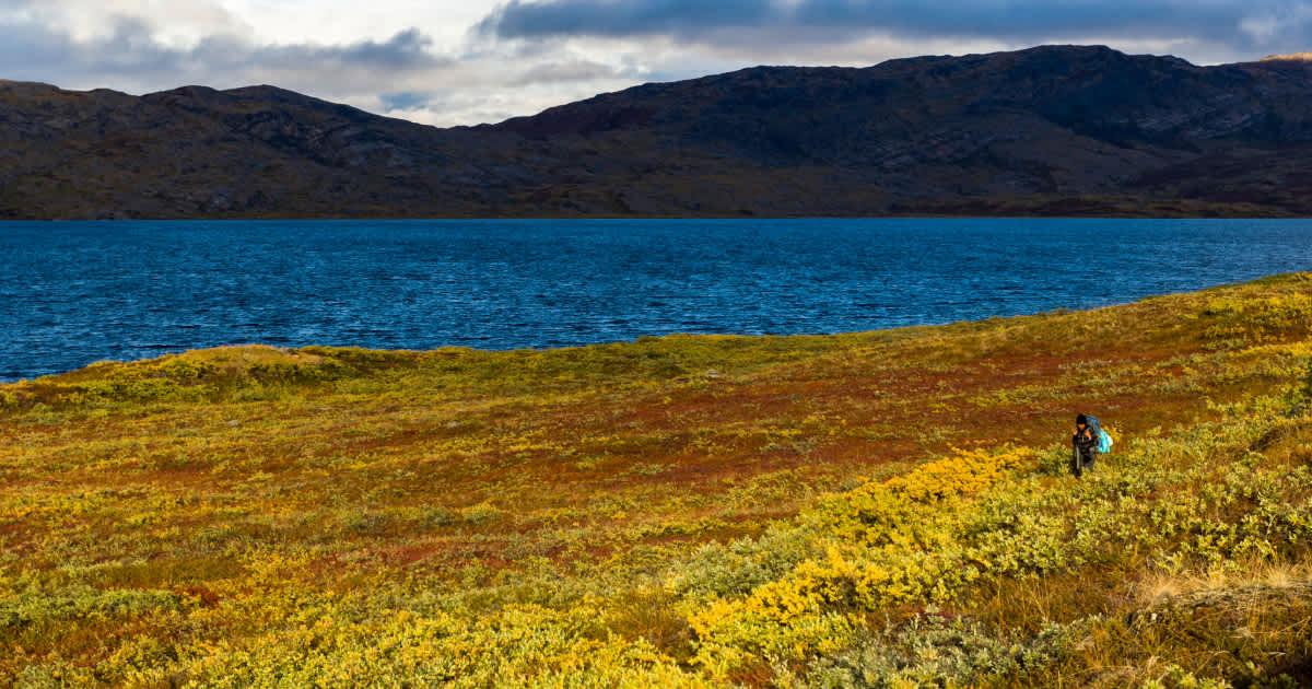 pn/ddafc d b aad fdcb