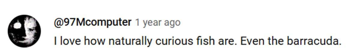 pn/aea  d fbc cabfcb