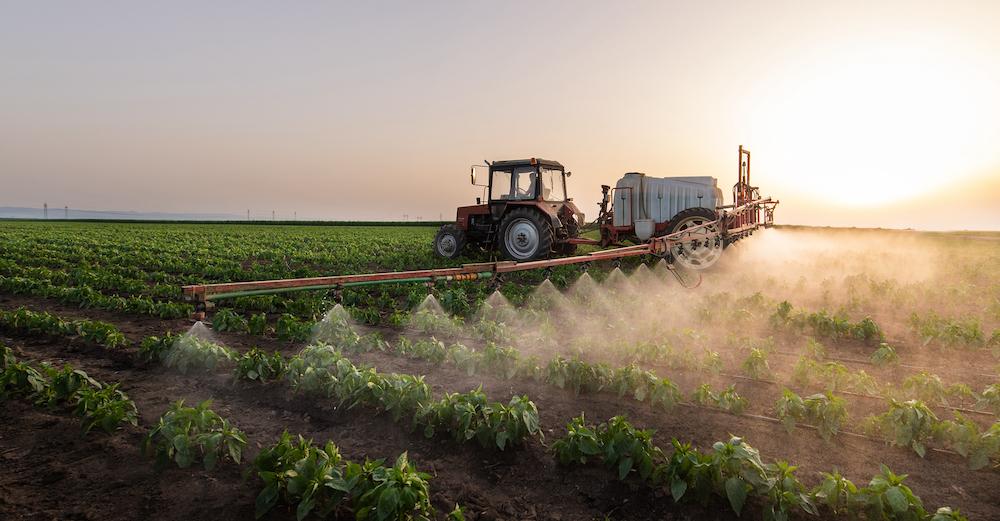 Spraying Pesticides on Vegetable Field