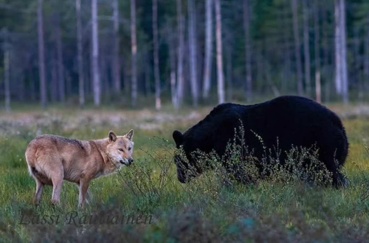 pn/edfef a bc c ddab