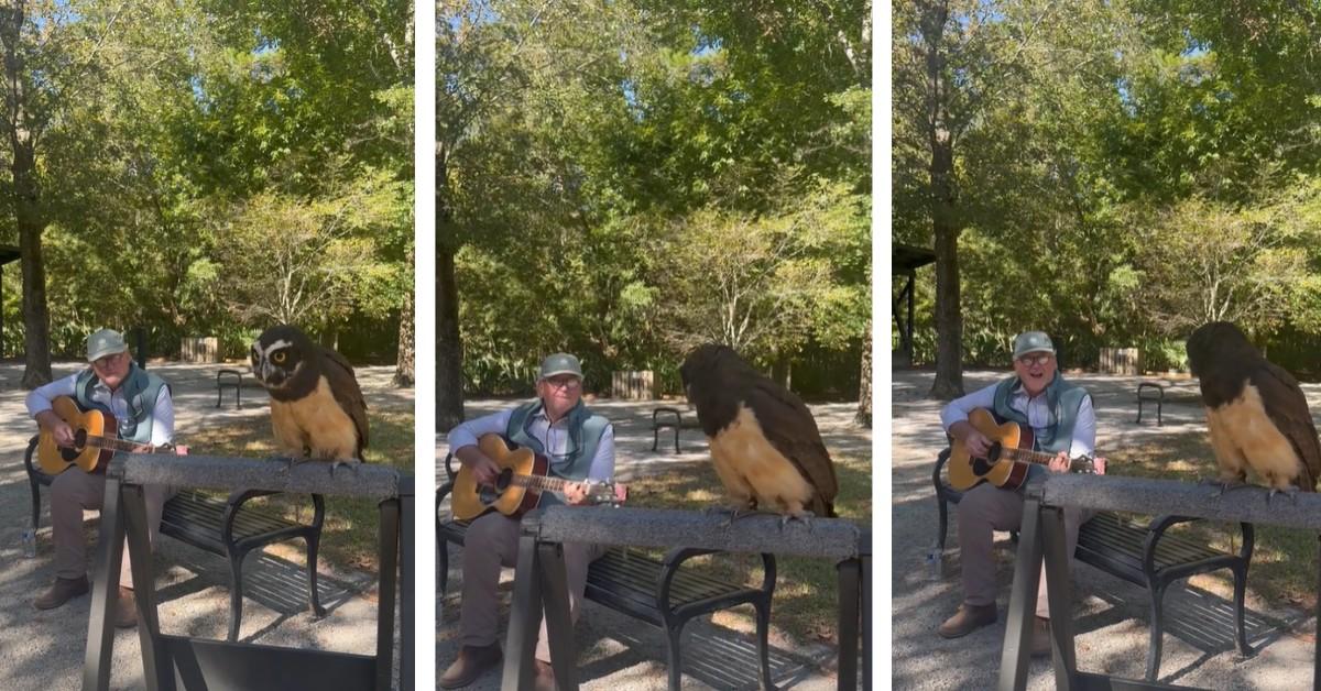 Phillip Lammonds plays guitar and sings next to a dancing owl to help raise money 