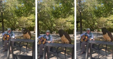 Phillip Lammonds plays guitar and sings next to a dancing owl to help raise money