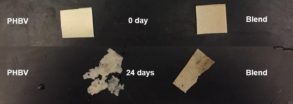 Biodegradation