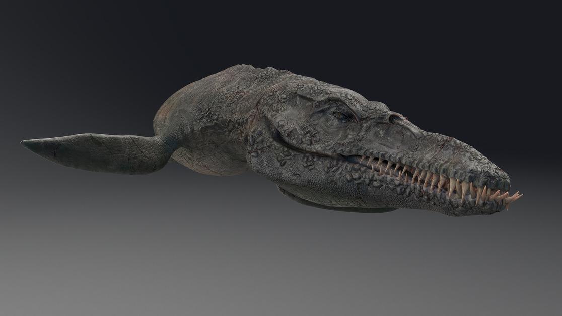 A 3D rendering of a pliosaur, with focus on the jaw and teeth. 