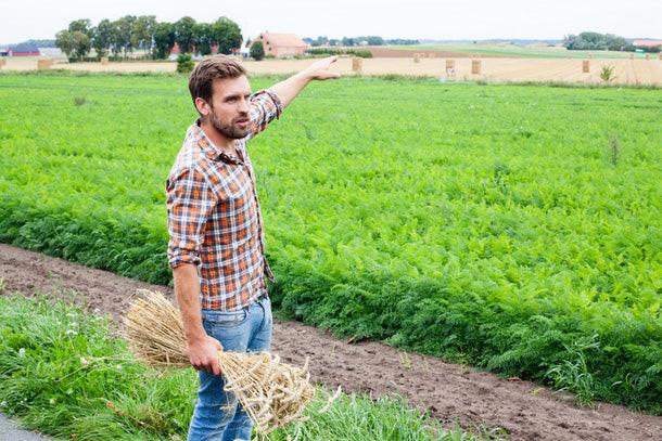 absolut farmer marcus lundmark