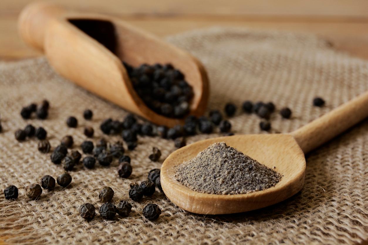 Can Dogs Have Black Pepper? Read Before You Feed