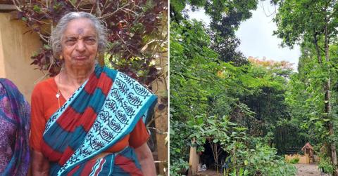 Devaki Amma, the 91-year-old Indian woman who transformed her backyard into a five-acre forest. (Cover Image Source: Facebook | Devakiamma Kollakal Thapovanam)
