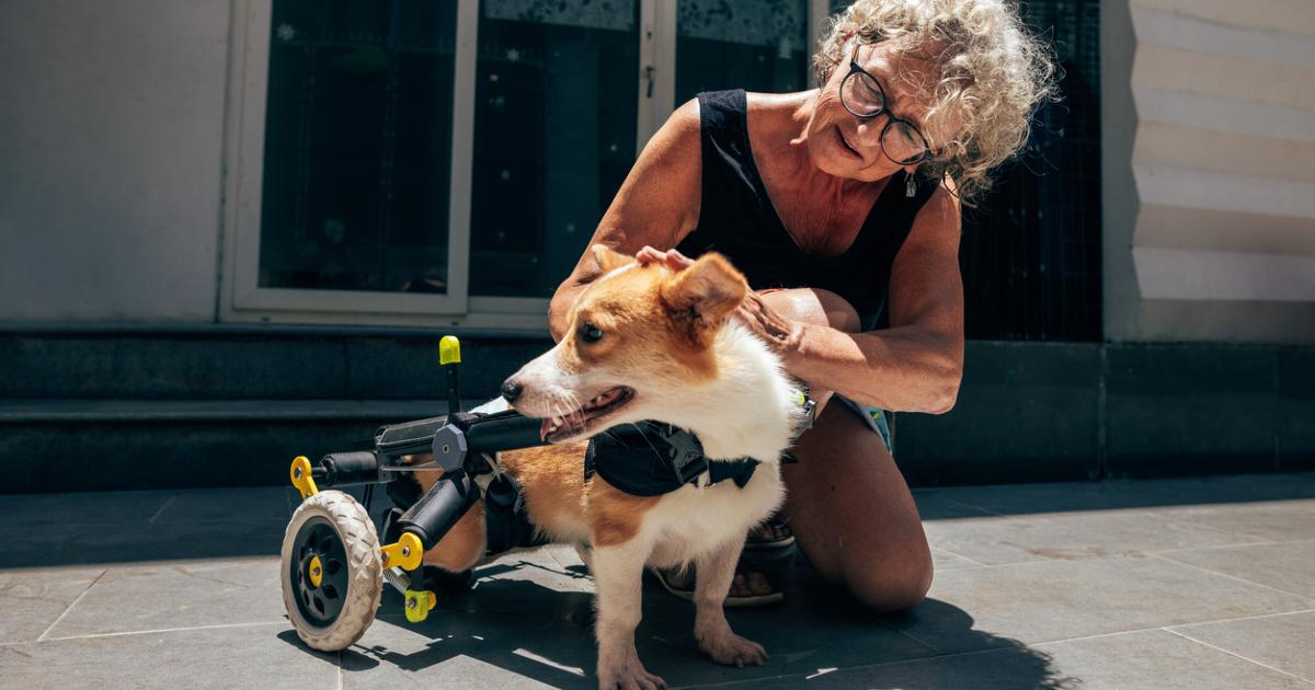 What to Know About Adopting a Special Needs Dog (Exclusive)