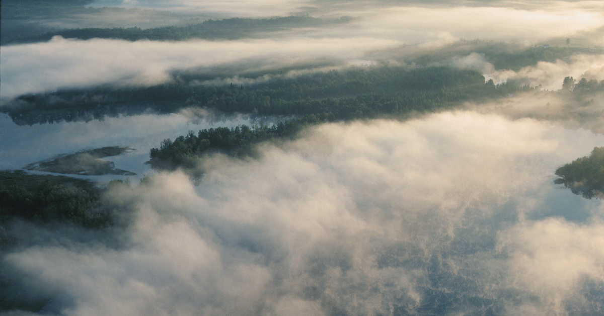 How Fog Forms