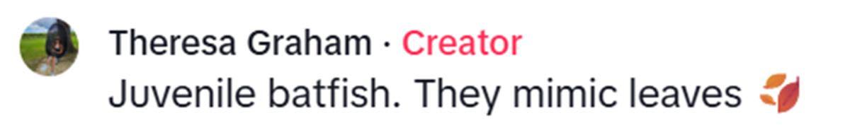 pn/fdfa fd be bdc cbe