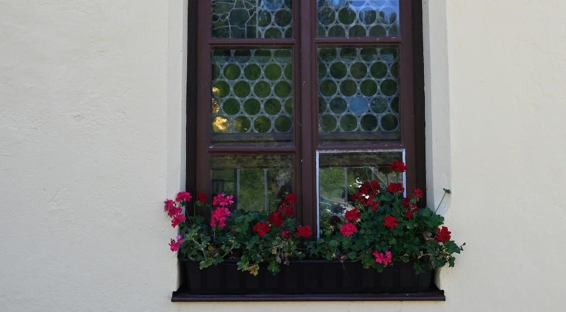 window box garden