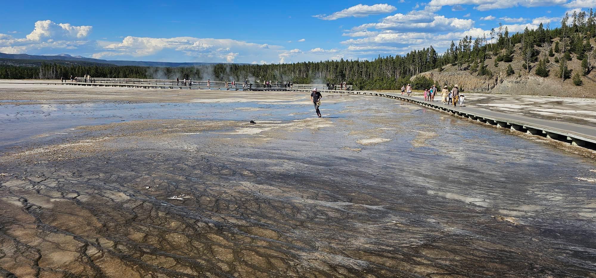A tourist in flip flops walks across a no-limits zone of Yellowstone.