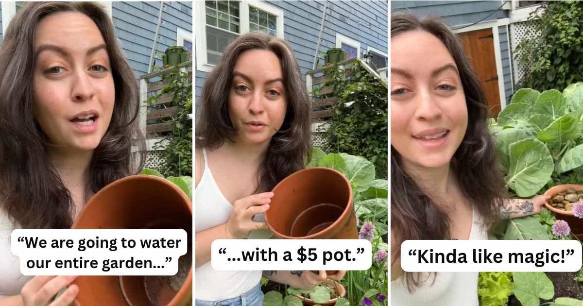 Home gardening expert describes an ancient watering method that can save you a lot of water while keeping your plants hydrated (Cover Image Source: TikTok | @thecottagepeach)