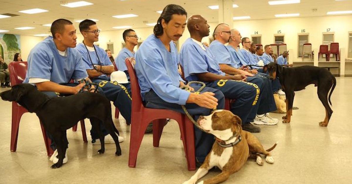 Inmate Dog Training Program Enriches Prisoners' and Rescue Pups' Lives