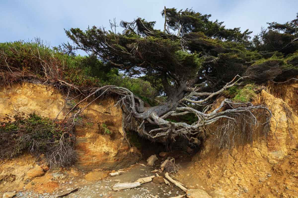 pn/bbeeac  e adc ebbaf