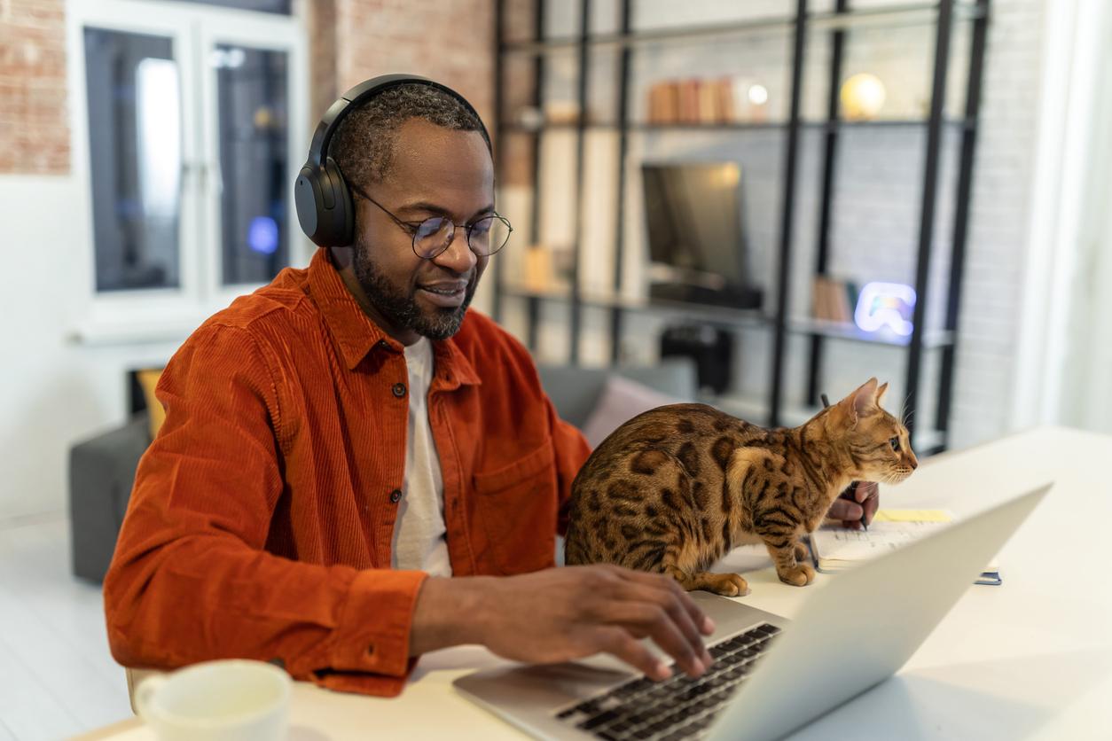 A spotted cat nestles into her dad's arm while he works on his laptop while sitting at the table.