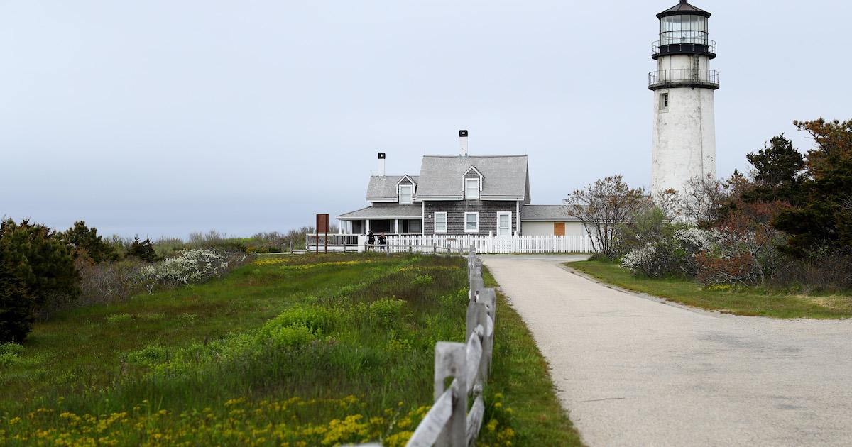 Cape Cod Algae