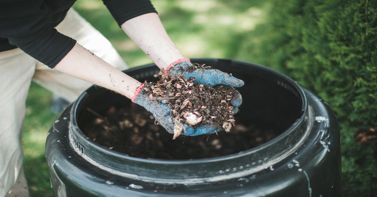 Image of A finished compost pile ready to use