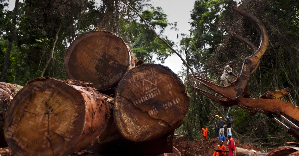 africa deforestation